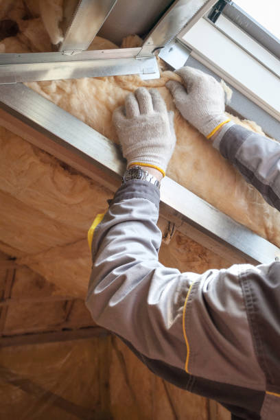 Best Geographic-Specific Insulation Services in Johns Creek, GA