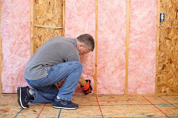 Best Eco-Friendly Insulation in Johns Creek, GA