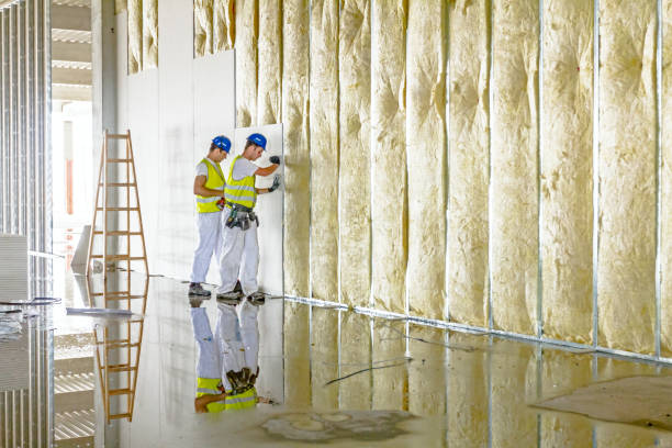 Best Insulation Maintenance and Repair in Johns Creek, GA
